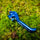 EnduroSolutions BREMBO Enduro Brake Lever V2 - Blue