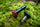 ZeroDrag Throttle Brearings EnduroSolutions | Trialsolutions - Red